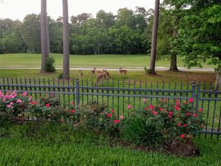 3303 N Cotswold Manor Drive, Kingwood, TX 77339