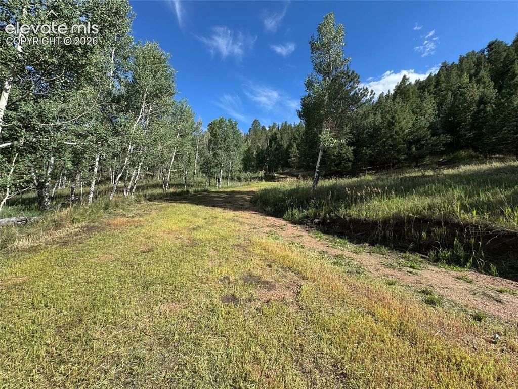 313 Elliott Drive, Florissant, CO 80816 — photo 2