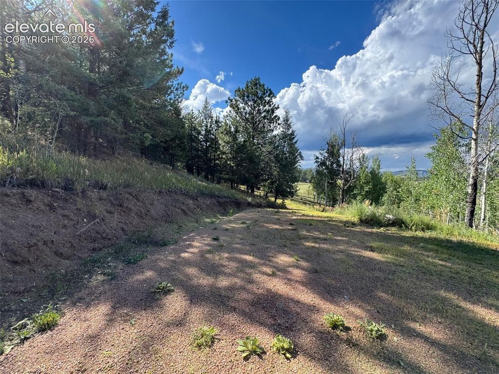 313 Elliott Drive, Florissant, CO 80816 — photo 3