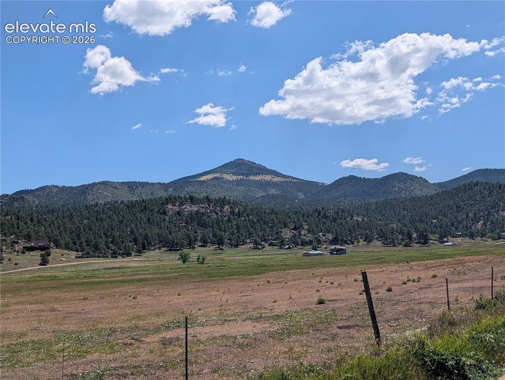 313 Elliott Drive, Florissant, CO 80816 — photo 4