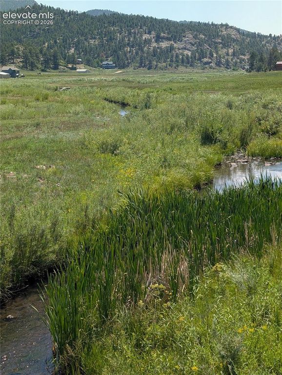 313 Elliott Drive, Florissant, CO 80816 — photo 5