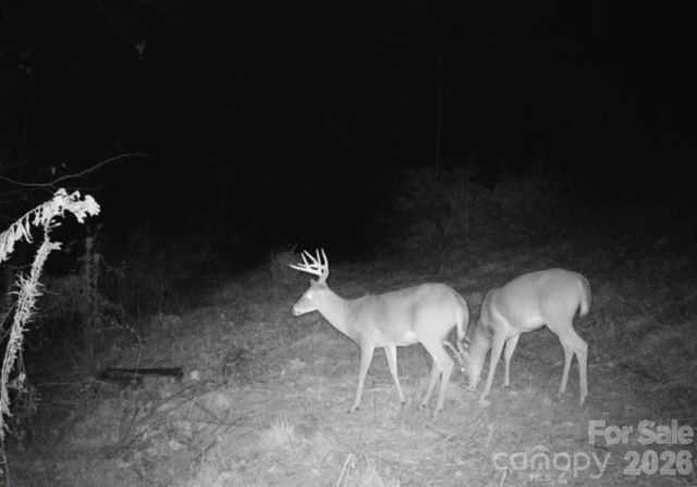 842 Old NC 20 Highway, Alexander, NC 28701