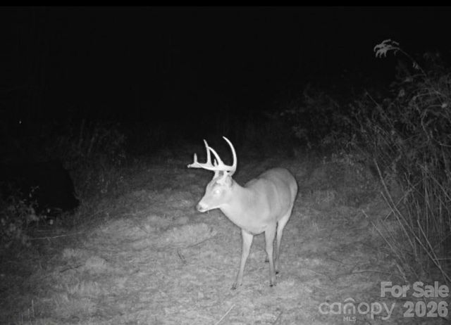 842 Old NC 20 Highway, Alexander, NC 28701