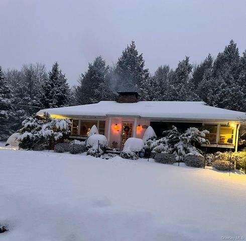 172 Wards Road, Livingston Manor, NY 12758