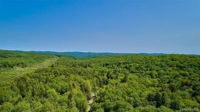 172 Wards Road, Livingston Manor, NY 12758