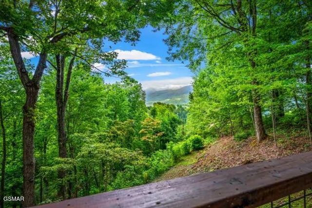 514 Deer Path Lane, Gatlinburg, TN 37738