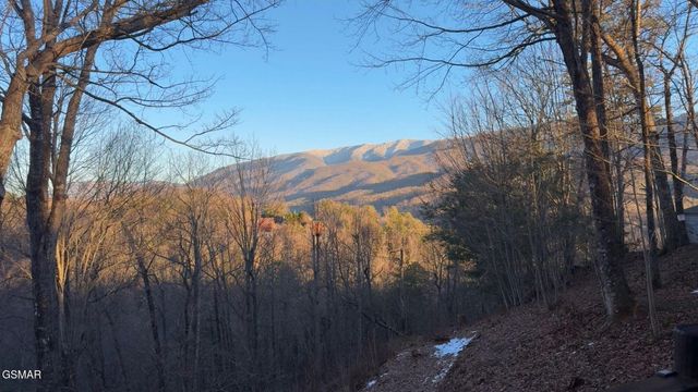 514 Deer Path Lane, Gatlinburg, TN 37738