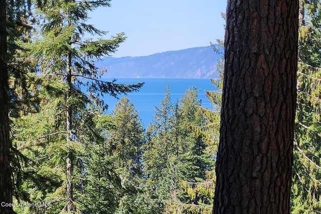 NNA E David Thompson Rd, Hope, ID 83836