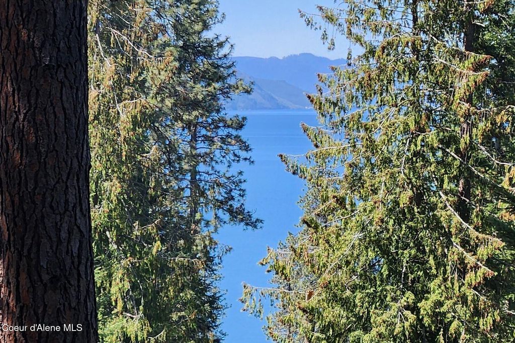 NNA E David Thompson Rd, Hope, ID 83836