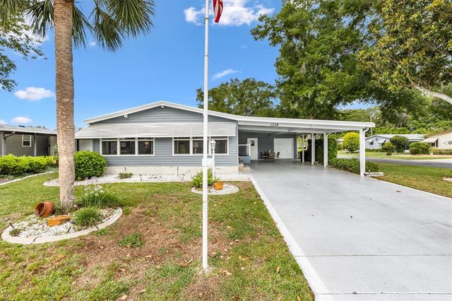 1228 PALMETTO DRIVE, The Villages, FL 32159
