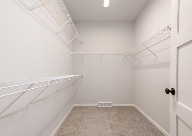 20 Spittlebug Circle, Madison, WI 53718