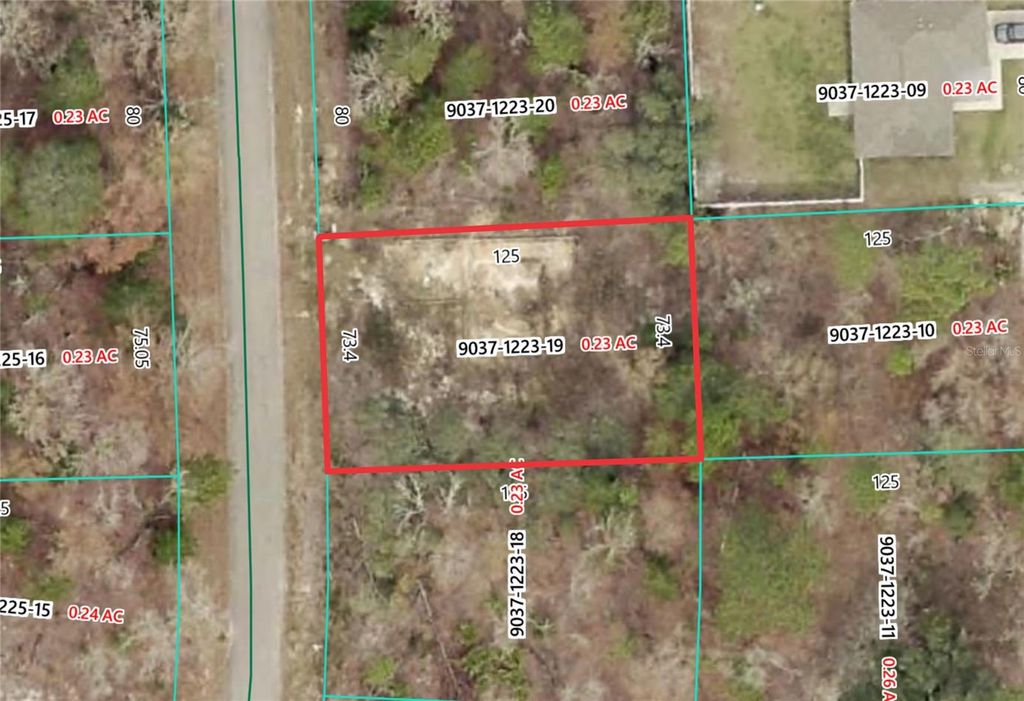 19 FISHER LANE TRACK, Ocklawaha, FL 32179