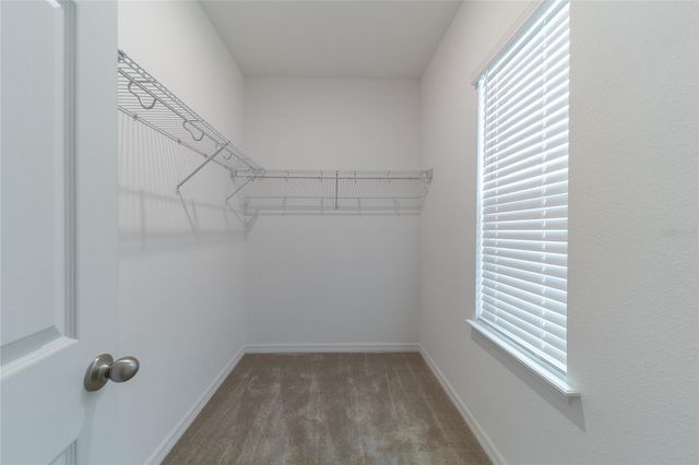 15062 GUAVA BAY DRIVE, Winter Garden, FL 34787