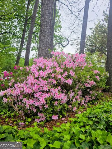 206 Wynnes Ridge Circle SE, Marietta, GA 30067