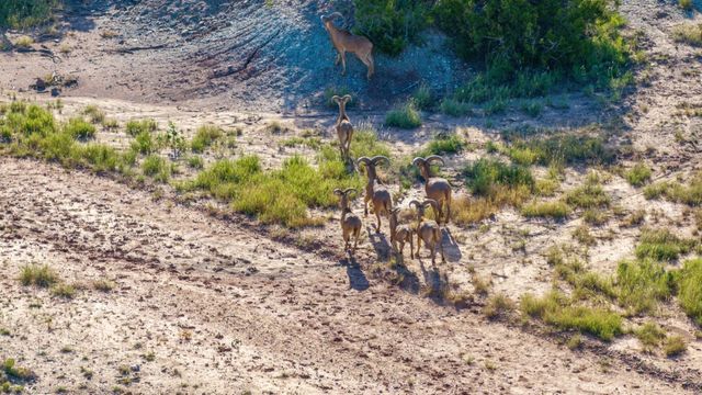 9464 SH-6, Quanah, TX 79225