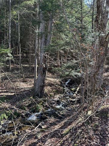 1444 County Highway 4, Sidney, NY 13838