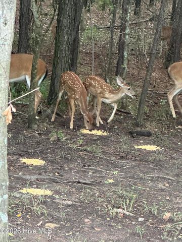 719 Houston Lake Drive, Evans, GA 30809