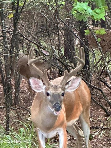 719 Houston Lake Drive, Evans, GA 30809