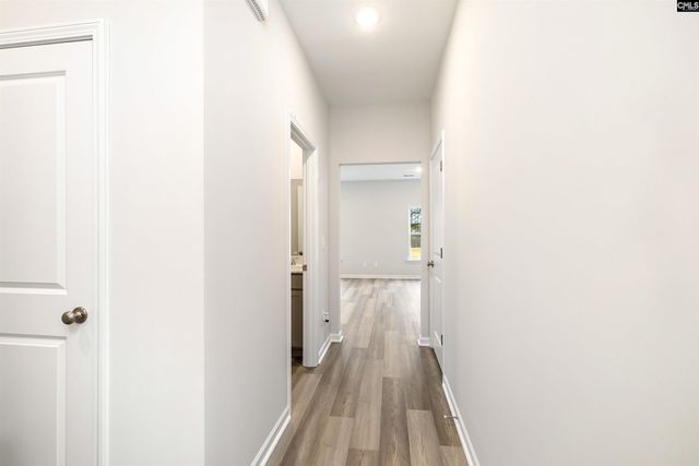 211 Bangalore Way, Gilbert, SC 29054