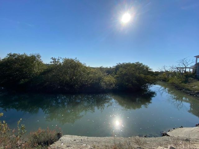 220 Pelican Reef Dr, St Augustine, FL 32080