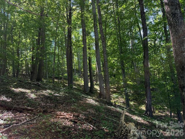 4281 Prices Creek Road, Burnsville, NC 28714