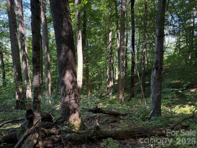 4281 Prices Creek Road, Burnsville, NC 28714