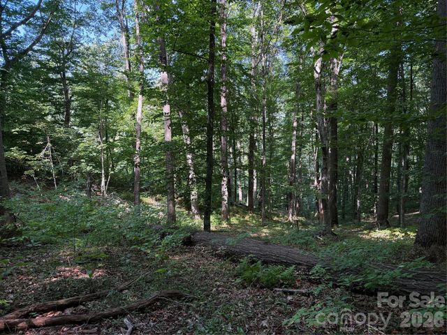 4281 Prices Creek Road, Burnsville, NC 28714
