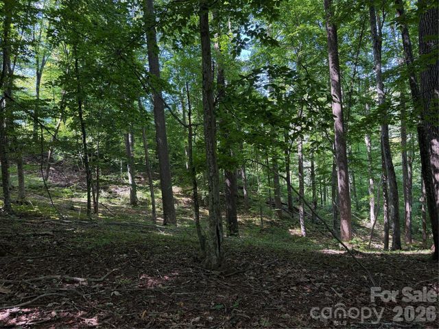 4281 Prices Creek Road, Burnsville, NC 28714