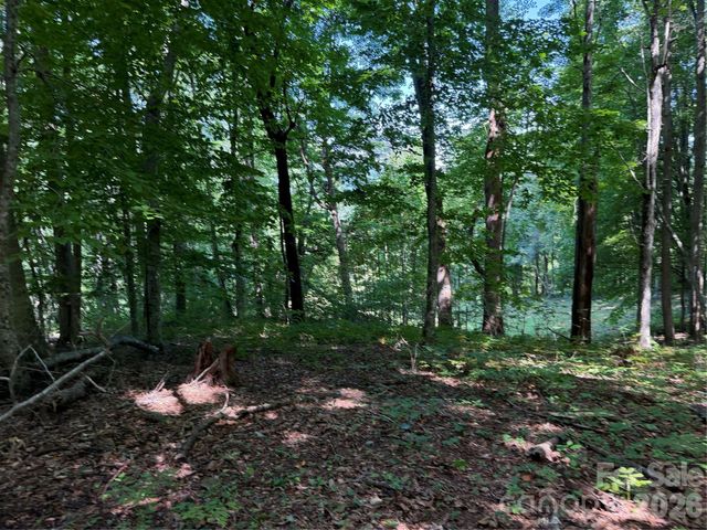 4281 Prices Creek Road, Burnsville, NC 28714