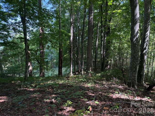 4281 Prices Creek Road, Burnsville, NC 28714