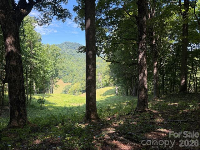4281 Prices Creek Road, Burnsville, NC 28714