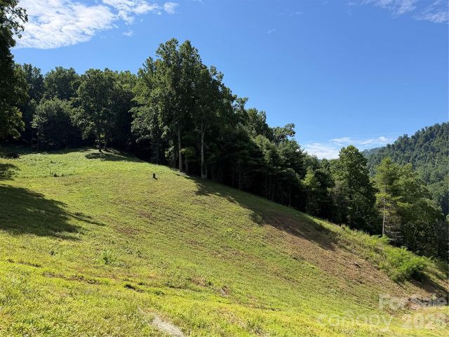 4281 Prices Creek Road, Burnsville, NC 28714