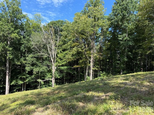 4281 Prices Creek Road, Burnsville, NC 28714