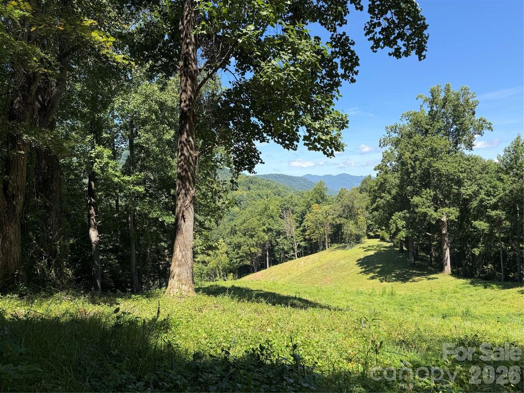 4281 Prices Creek Road, Burnsville, NC 28714