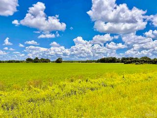 3500 Hwy 182 7412 Wendt Farm Rd(next to 7410 Wendt Rd) Parcel A, Jay, FL 32565
