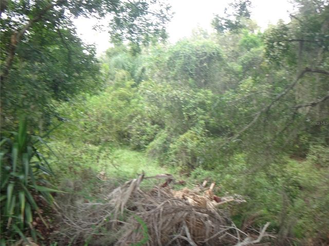 TAMARIND DRIVE, Lake Wales, FL 33898