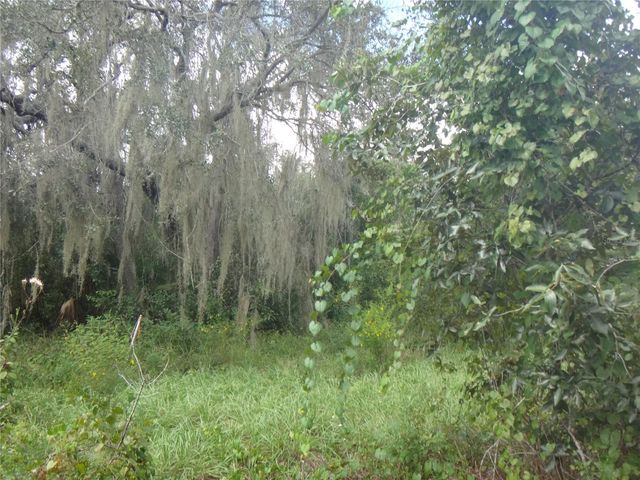 TAMARIND DRIVE, Lake Wales, FL 33898