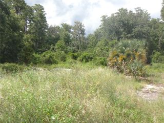 TAMARIND DRIVE, Lake Wales, FL 33898