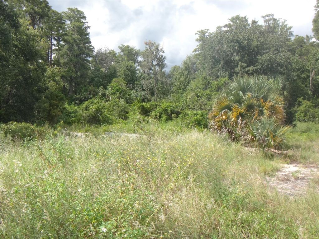 TAMARIND DRIVE, Lake Wales, FL 33898