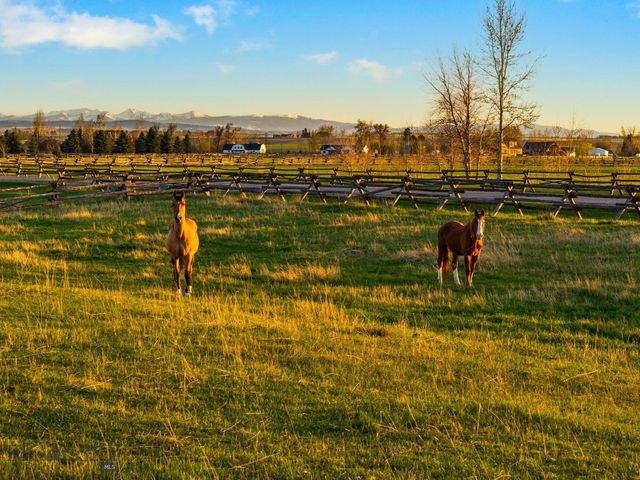 624 Rocking Horse Drive, Bozeman, MT 59718