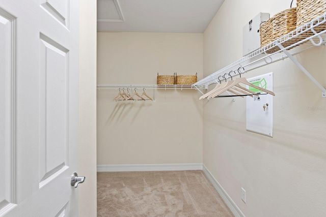 12639 SILVERDALE STREET, Tampa, FL 33626