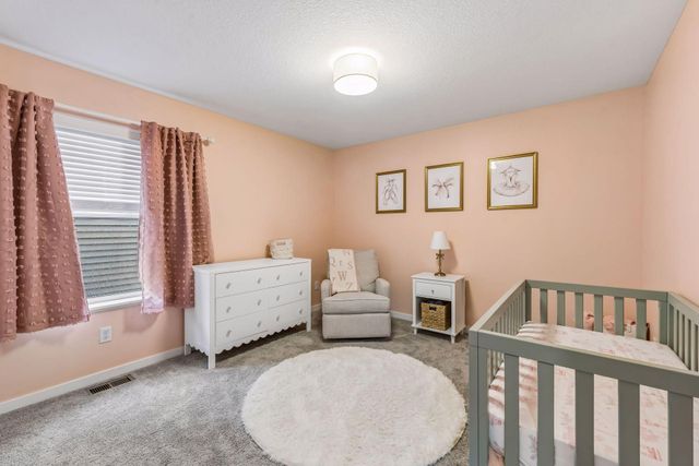 1874 Spring Creek Drive, Carver, MN 55315