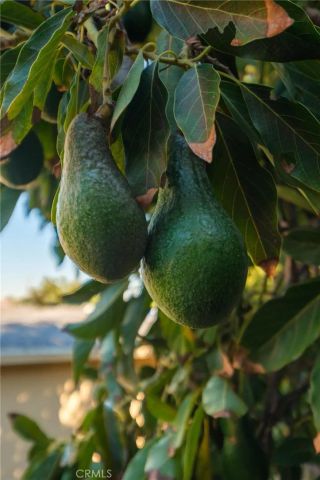 2432 W 237th Place, Torrance, CA 90501