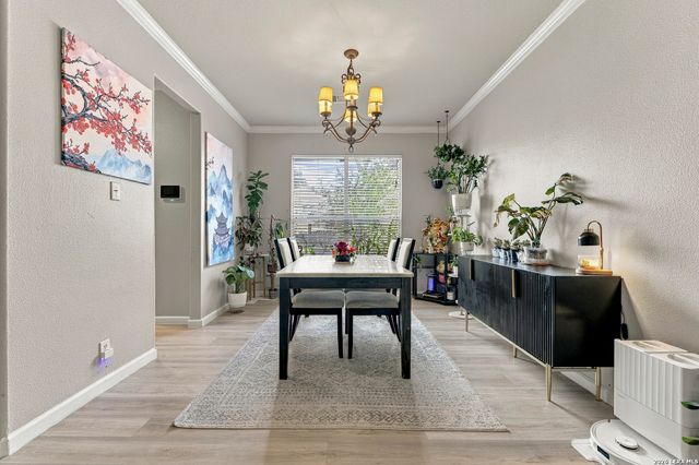 402 ASTER TRL, San Antonio, TX 78256