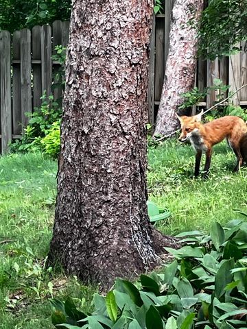 700 Point Douglas Road S, Saint Paul, MN 55119