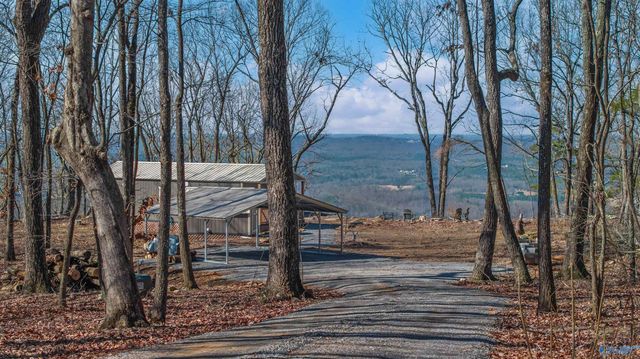 3691 Citadel Rock Road, Fort Payne, AL 35967