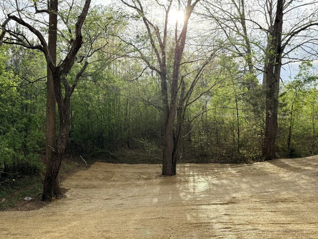 215 Ake St, Estill Springs, TN 37330