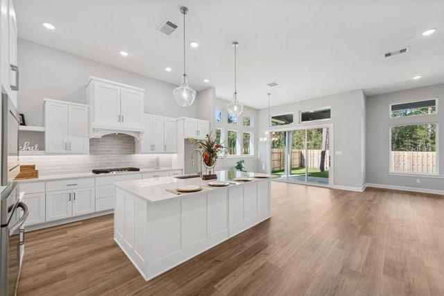 41746 Wendele Way, Todd Mission, TX 77316
