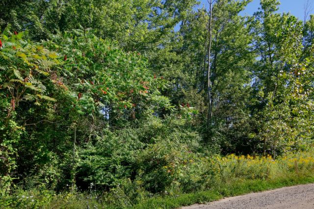 Maple Street Lot 4 & 5, South Haven, MI 49090