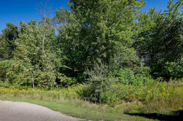 Maple Street Lot 4 & 5, South Haven, MI 49090